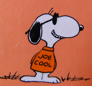 Joe Cool